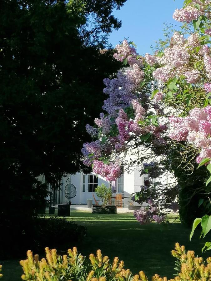 H De Surgeres Bed and Breakfast Buitenkant foto